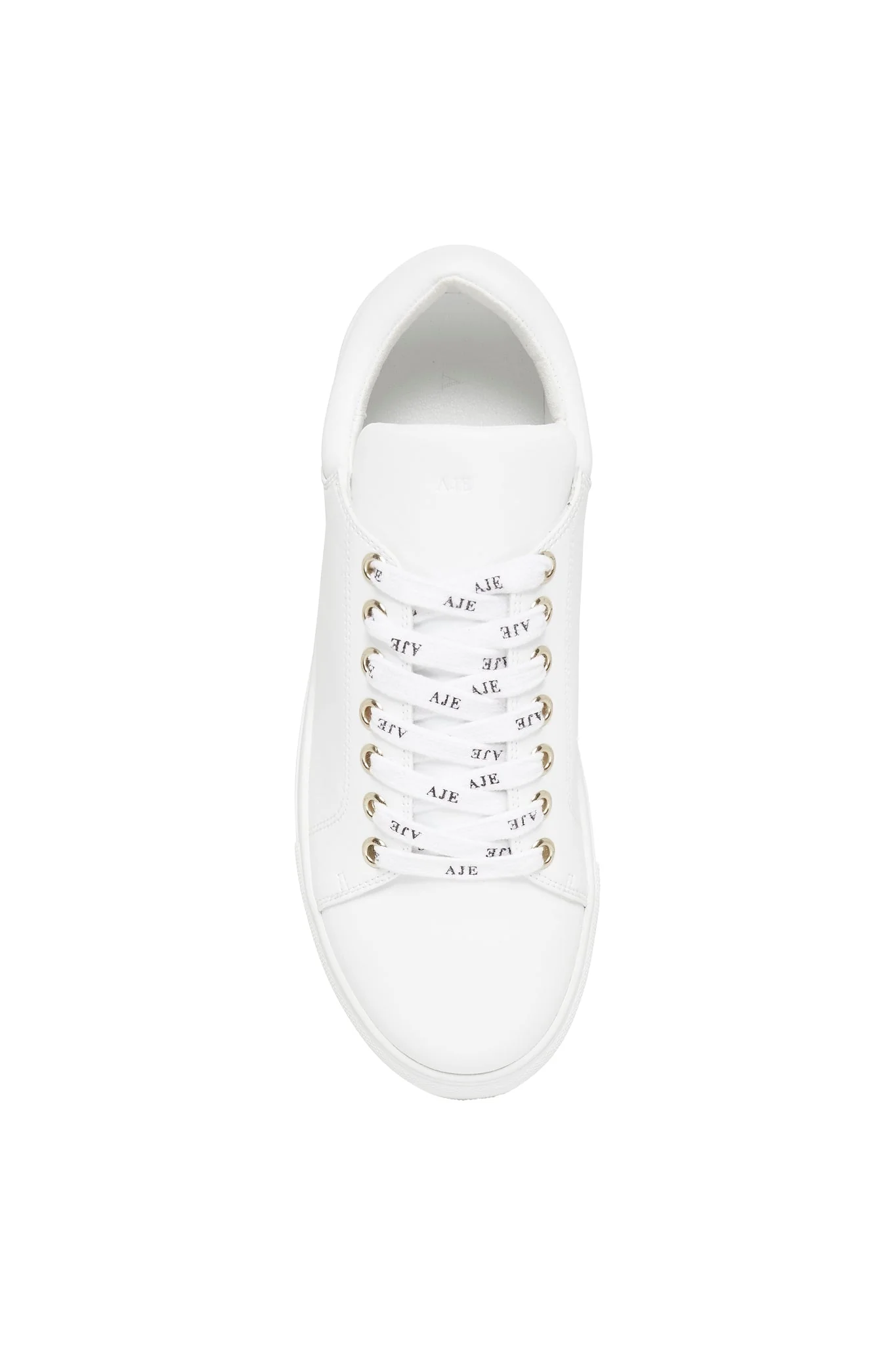 Hazel Trainer - Image 3