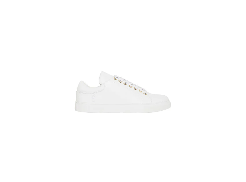 Hazel Trainer - Image 5