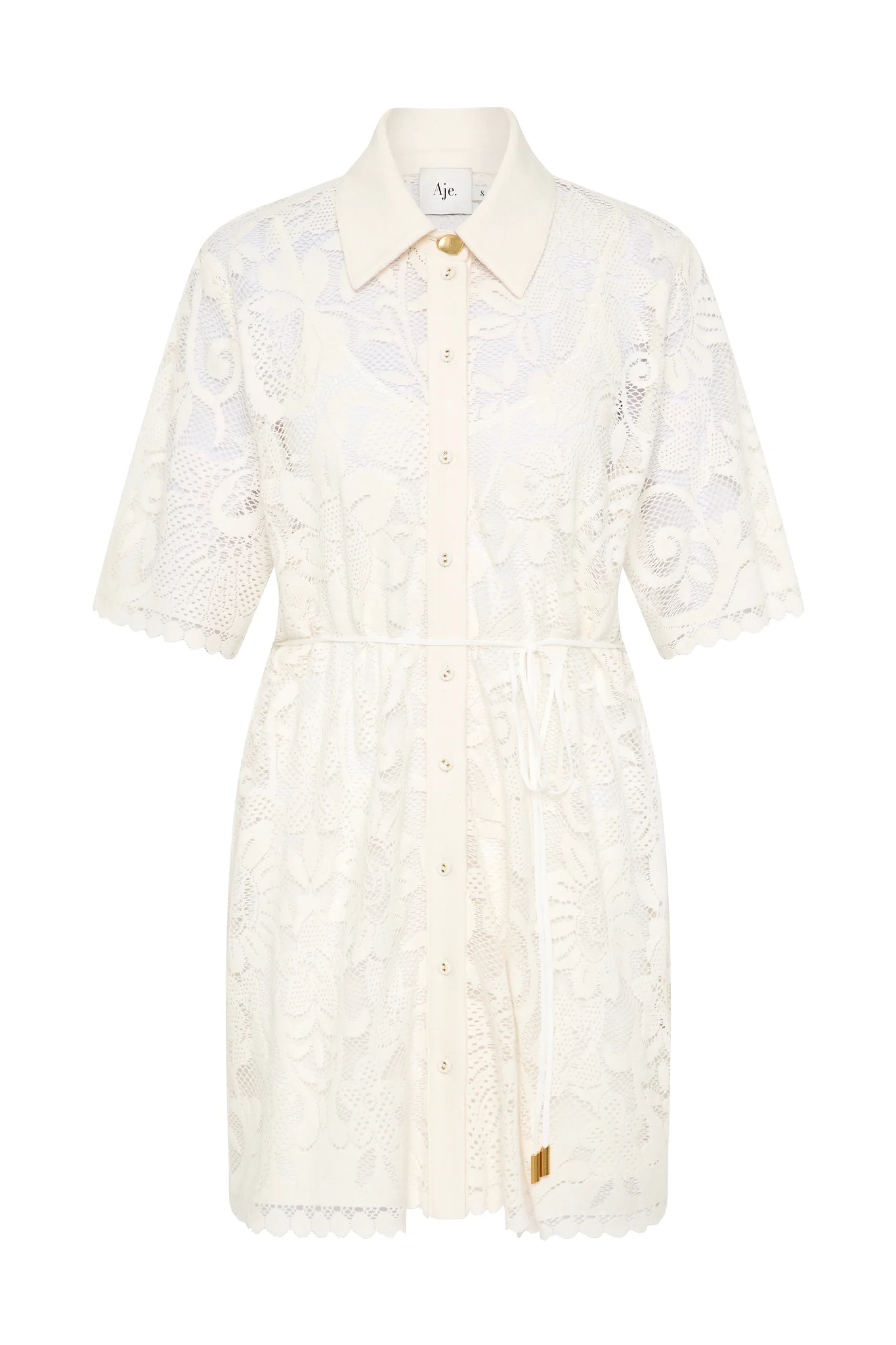 Muses Lace Mini Dress - Image 2