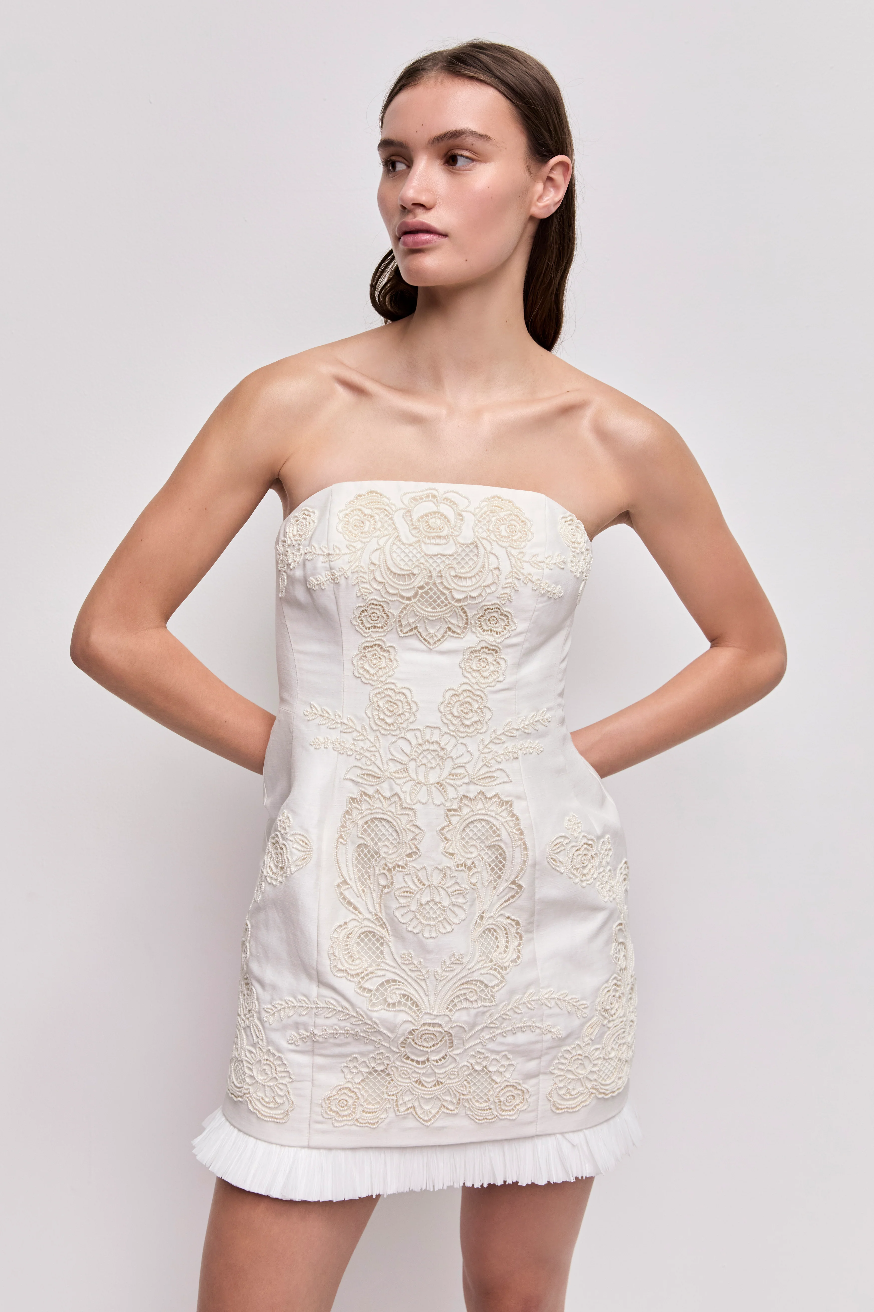 Perilla Embroidered Mini Dress - Image 3